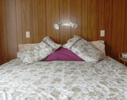 Lady Barron Holiday House - Northern Rivers Accommodation 2