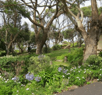 Anchlia Waterfront Cottage - Northern Rivers Accommodation 2