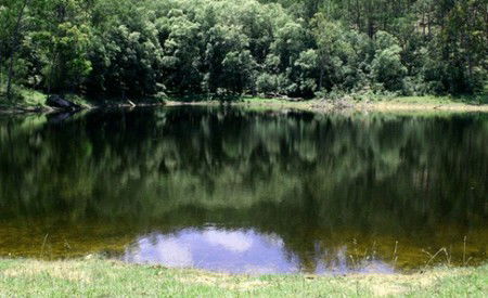 Mystwood Retreats - Northern Rivers Accommodation 5