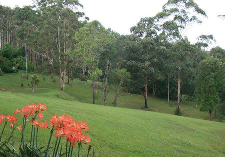 Woodridge Park Country Retreat - Northern Rivers Accommodation 3
