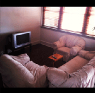 Star Hotel Wauchope - Northern Rivers Accommodation 4