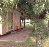Carinya Cabins  Caravan Park - Northern Rivers Accommodation