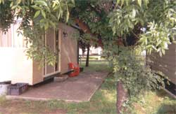 Carinya Cabins & Caravan Park - Northern Rivers Accommodation 0