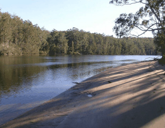 Riverbend Cottage - Northern Rivers Accommodation 1