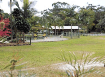 Minnie Water Holiday Park - Northern Rivers Accommodation 5