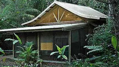 Byron Bay Rainforest Resort - Northern Rivers Accommodation 0