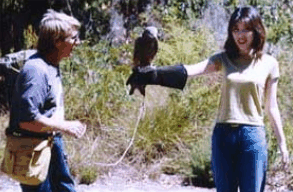 Eagles Heritage Raptor Wildlife Centre - Northern Rivers Accommodation 2