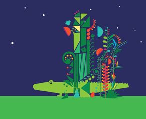 Ford Fiesta Moonlight Cinema - Northern Rivers Accommodation 3