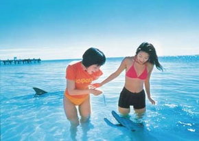 Kookaburra Air - Northern Rivers Accommodation 0