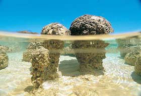 Kookaburra Air - Northern Rivers Accommodation 2