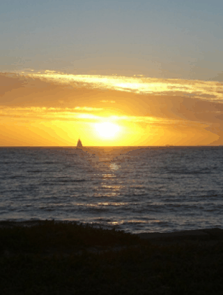 Kidogo Arthouse - Northern Rivers Accommodation 1