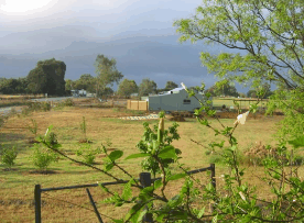 The House Of Honey - Northern Rivers Accommodation 2