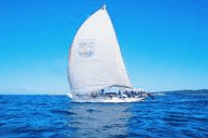Manly Harbour Village - Northern Rivers Accommodation