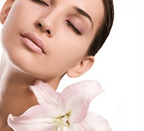 Stephanies Spa Retreat - Northern Rivers Accommodation