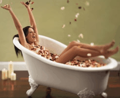 Toowong Village - Northern Rivers Accommodation