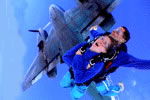 Simply Skydive - Northern Rivers Accommodation 2