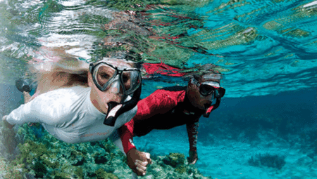 Snorkel Safari Brisbane - Northern Rivers Accommodation 1