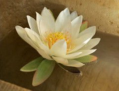St Georges Natural Health Therapies - Northern Rivers Accommodation 3