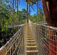 Thunderbird Park - Northern Rivers Accommodation