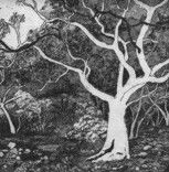 Tacit Contemporary Art - Northern Rivers Accommodation 0