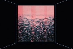 Paradise Hills - Northern Rivers Accommodation 1