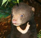 Perth Zoo - Northern Rivers Accommodation 0