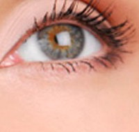 Cinnamon Stix Hair  Day Spa - Northern Rivers Accommodation