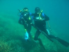 Pelican Charters - Northern Rivers Accommodation 1