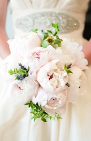 Karralyka Centre - Northern Rivers Accommodation 3