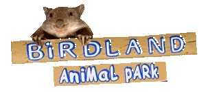 Birdland Animal Park - Northern Rivers Accommodation