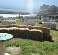 We Are Paintball - Northern Rivers Accommodation