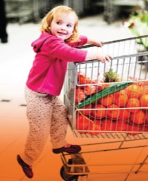 Warringal Shopping Centre - Northern Rivers Accommodation 0