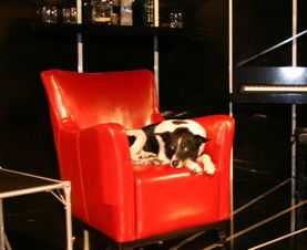 Old Fitzroy Theatre - Northern Rivers Accommodation 0