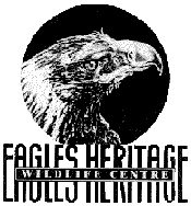 Eagles Heritage - Northern Rivers Accommodation