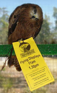 Eagles Heritage - Northern Rivers Accommodation 1