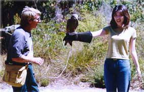 Eagles Heritage - Northern Rivers Accommodation 2