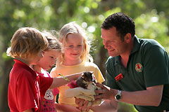  Northern Rivers Accommodation