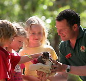 Cleland Wildlife Park - Northern Rivers Accommodation