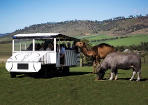 Zoo Doo Wildlife Park - Northern Rivers Accommodation 2