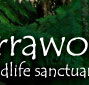 Warrawong Wildlife Park - Northern Rivers Accommodation