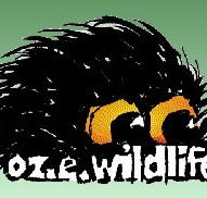 OZe Wildlife - Northern Rivers Accommodation