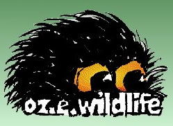 OZe Wildlife - Northern Rivers Accommodation 0