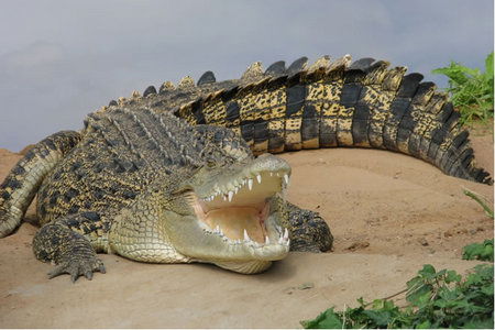  Northern Rivers Accommodation