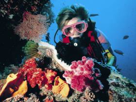 Gold Coast Seaway Dive Site - Northern Rivers Accommodation 0