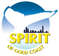 Spirit of Gold Coast Whale Watching - Northern Rivers Accommodation