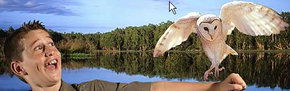Territory Wildlife Park - Northern Rivers Accommodation 2
