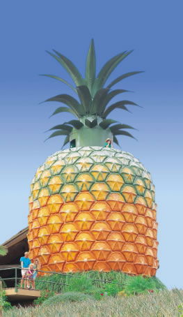 The Big Pineapple - Northern Rivers Accommodation 0