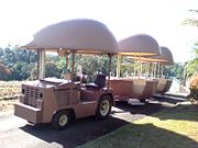 The Big Pineapple - Northern Rivers Accommodation 2