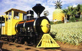 The Big Pineapple - Northern Rivers Accommodation 3