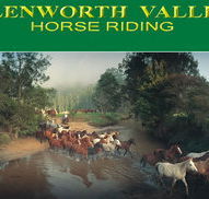 Glenworth Valley Horseriding - Northern Rivers Accommodation
